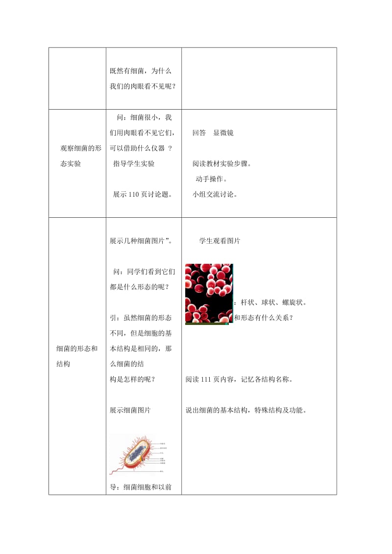 2019-2020年七年级生物上册 第二单元 第三章 第二节 细菌教学设计 （新版）济南版.doc_第2页