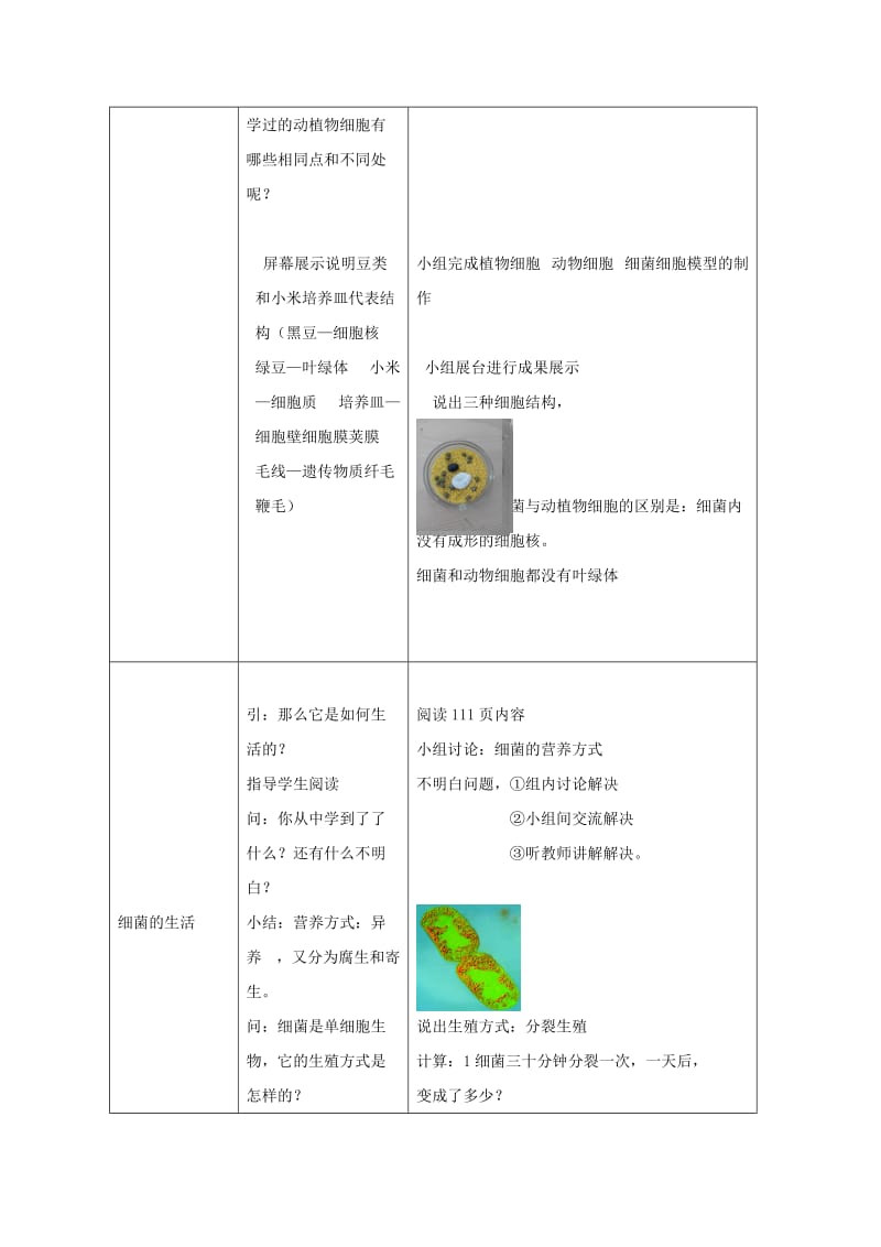 2019-2020年七年级生物上册 第二单元 第三章 第二节 细菌教学设计 （新版）济南版.doc_第3页