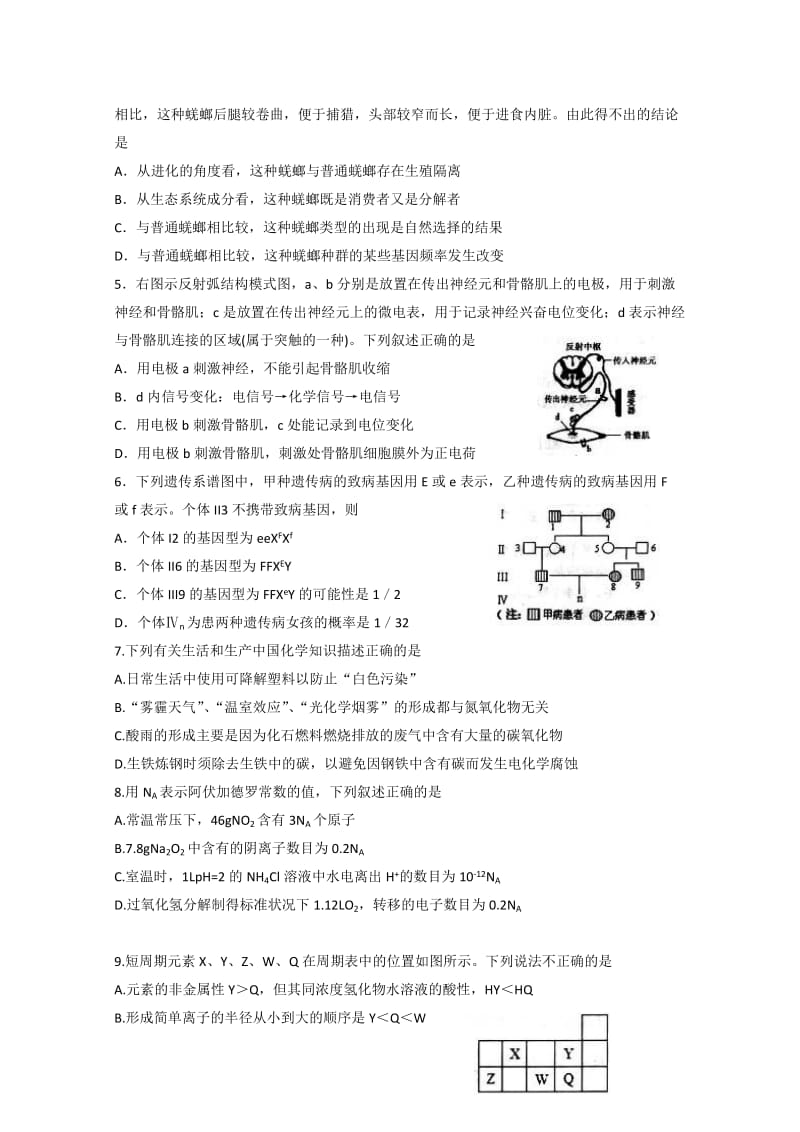 2019年高三第一次模拟考试 理综 含答案.doc_第2页