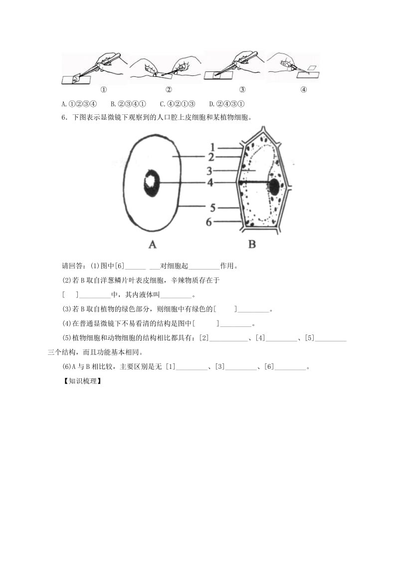 2019-2020年七年级生物上册2.3.1细胞的基本结构和功能导学案2新版北师大版.doc_第3页