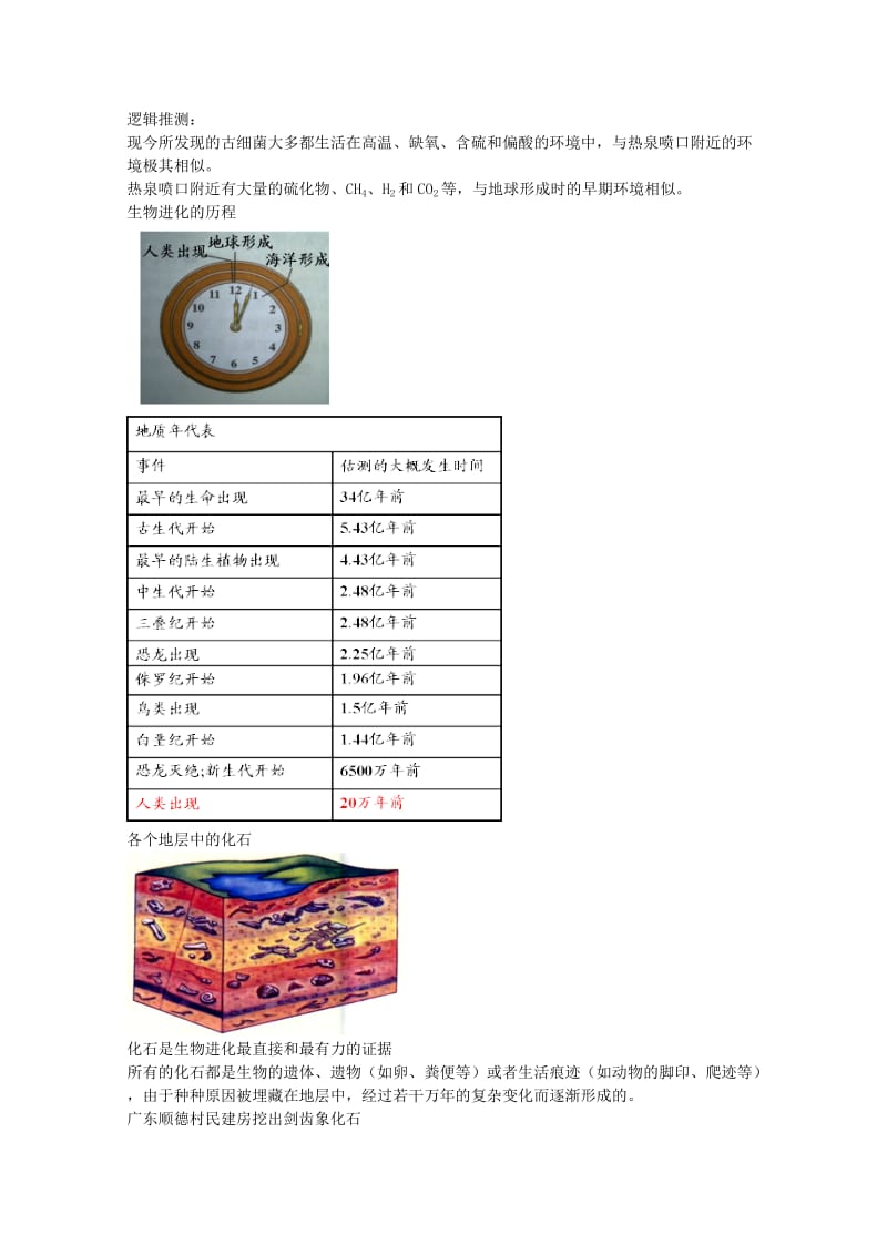 2019-2020年中考生物专题复习 十八 生命的起源与进化讲义 新人教版.doc_第3页