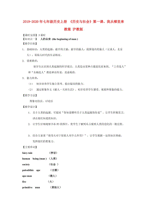 2019-2020年七年級(jí)歷史上冊(cè) 《歷史與社會(huì)》第一課、我從哪里來(lái)教案 滬教版.doc