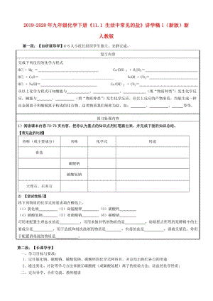 2019-2020年九年級(jí)化學(xué)下冊(cè)《11.1 生活中常見(jiàn)的鹽》講學(xué)稿1（新版）新人教版.doc