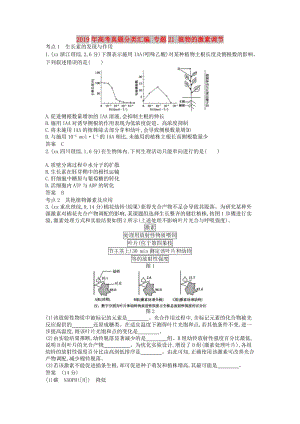 2019年高考真題分類匯編 專題21 植物的激素調(diào)節(jié).doc