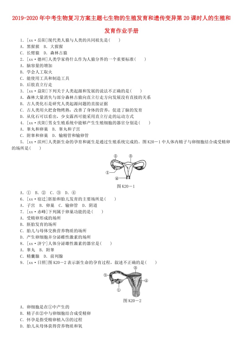 2019-2020年中考生物复习方案主题七生物的生殖发育和遗传变异第20课时人的生殖和发育作业手册.doc_第1页