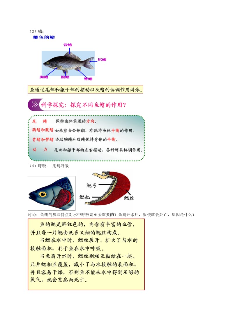 2019-2020年中考生物专题复习 十三 动物的运动和行为 二 脊椎动物（上）讲义 新人教版.doc_第3页