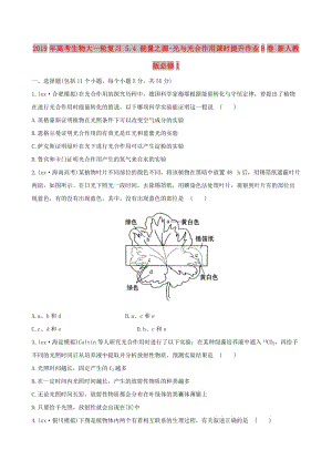 2019年高考生物大一輪復(fù)習(xí) 5.4 能量之源-光與光合作用課時(shí)提升作業(yè)B卷 新人教版必修1.doc