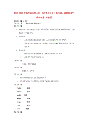 2019-2020年七年級(jí)歷史上冊(cè) 《歷史與社會(huì)》第二課、我在社會(huì)中成長(zhǎng)教案 滬教版.doc