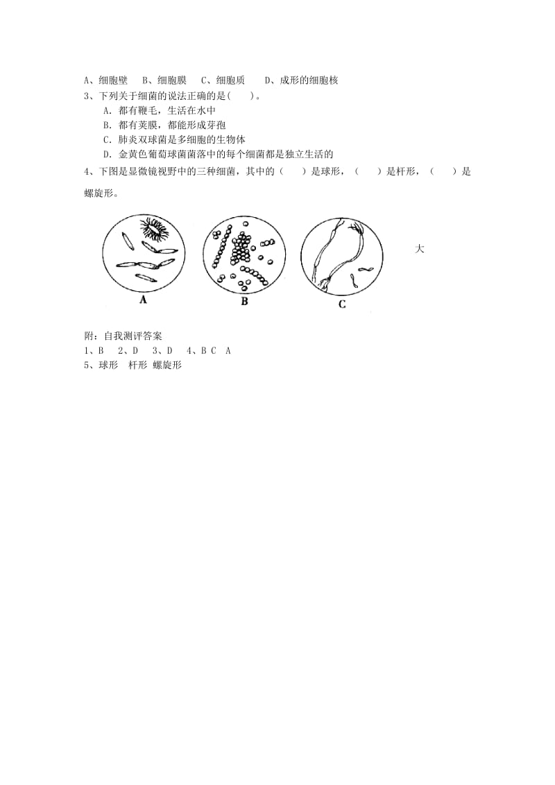 2019-2020年七年级生物上册 第三章第二节 细菌教案 济南版 .doc_第2页