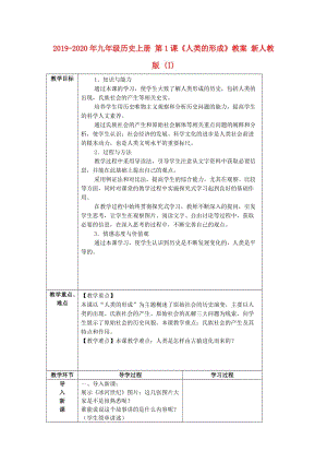 2019-2020年九年級歷史上冊 第1課《人類的形成》教案 新人教版 (I).doc