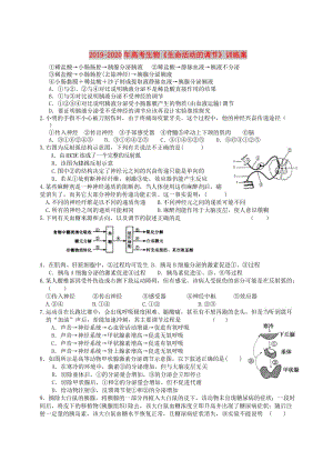 2019-2020年高考生物《生命活動的調節(jié)》訓練案.doc