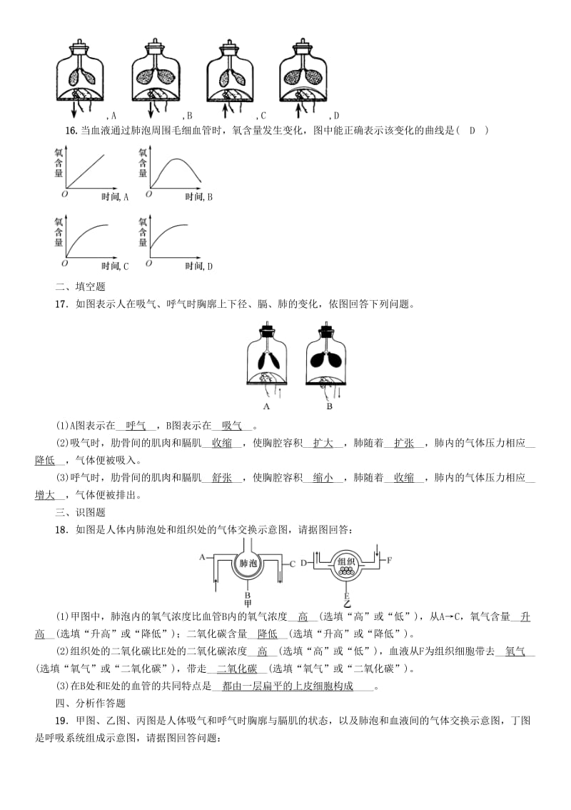 2019-2020年中考生物总复习第2节发生在肺内的气体交换精练.doc_第3页