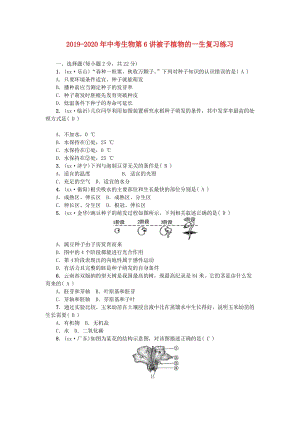 2019-2020年中考生物第6講被子植物的一生復(fù)習(xí)練習(xí).doc