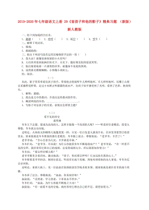 2019-2020年七年級(jí)語(yǔ)文上冊(cè) 29《盲孩子和他的影子》精典習(xí)題 （新版）新人教版.doc