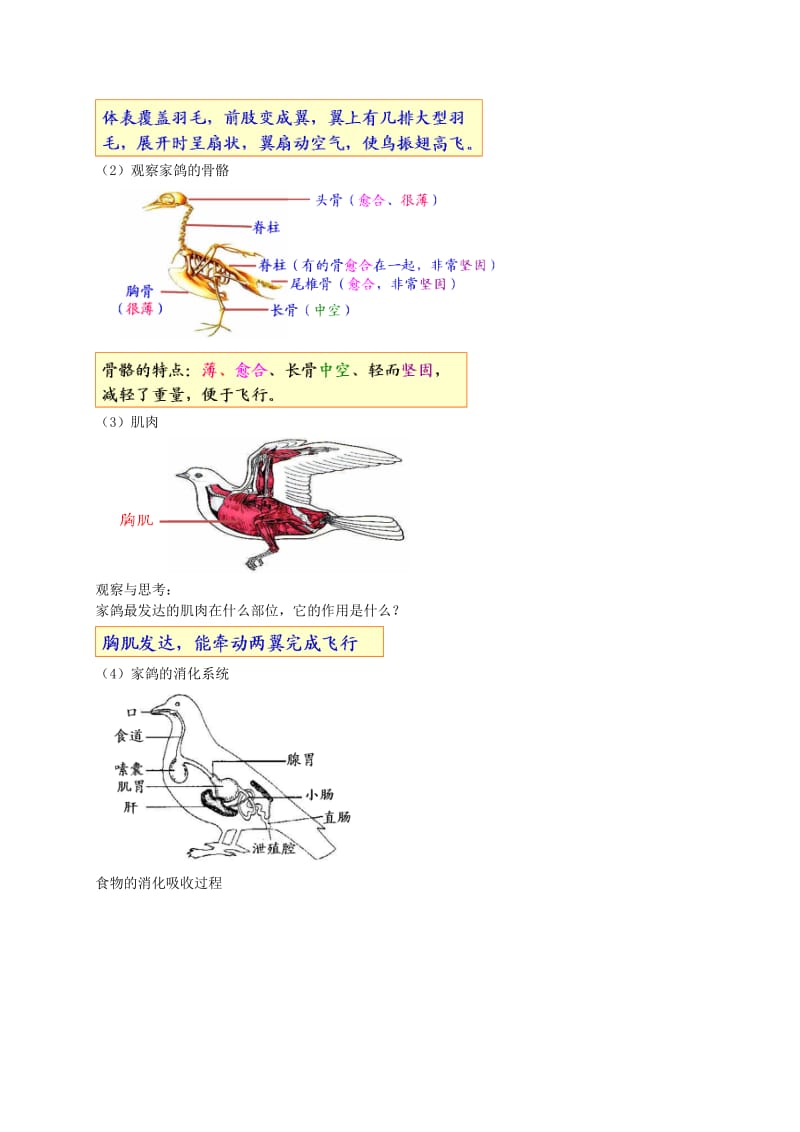 2019-2020年中考生物专题复习 十三 动物的分类 三 脊椎动物（下）讲义 新人教版.doc_第2页