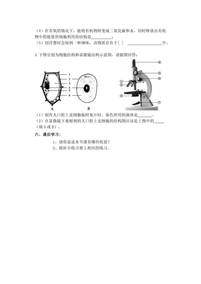 2019-2020年七年级生物 生物体的基本结二教案 苏科版.doc_第3页