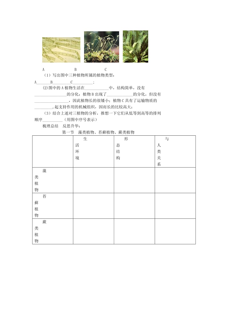 2019-2020年七年级生物上册 第三单元 第一章 第一节藻类植物、苔藓植物、蕨类植物教学案 （新版）新人教版.doc_第3页