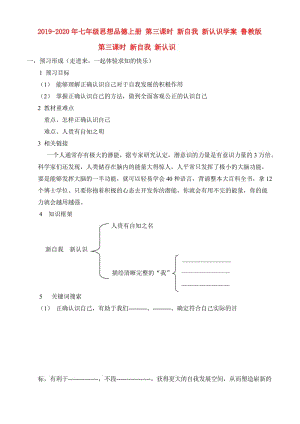 2019-2020年七年級思想品德上冊 第三課時 新自我 新認識學案 魯教版.doc