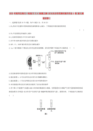 2019年高考生物大一輪復(fù)習(xí) 5.4 能量之源-光與光合作用課時(shí)提升作業(yè)A卷 新人教版必修1.doc