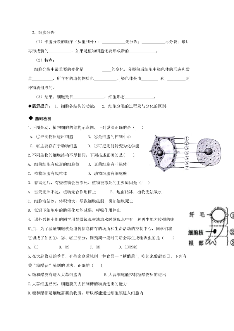 2019-2020年中考生物专题复习 细胞学案.doc_第2页