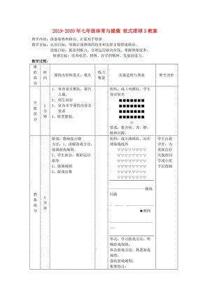 2019-2020年七年級體育與健康 軟式排球3教案.doc