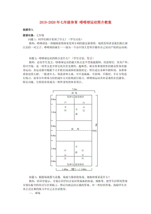 2019-2020年七年級體育 嗒嗒球運(yùn)動簡介教案.doc