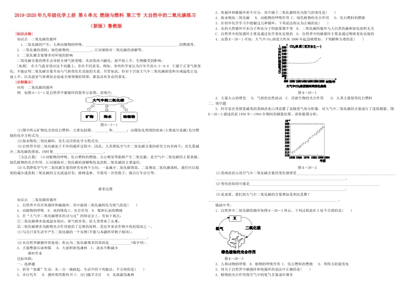 2019-2020年九年级化学上册 第6单元 燃烧与燃料 第三节 大自然中的二氧化碳练习 （新版）鲁教版.doc_第1页