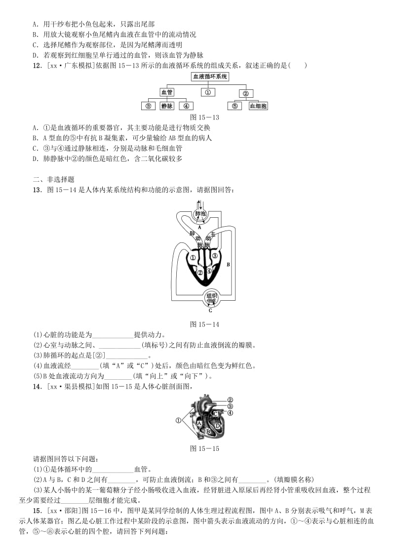 2019-2020年中考生物 第四单元 生物圈中的人 第15课时 心脏和血液循环课时作业.doc_第3页