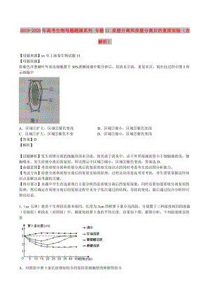 2019-2020年高考生物母題題源系列 專題11 質(zhì)壁分離和質(zhì)壁分離后的復(fù)原實驗（含解析）.doc