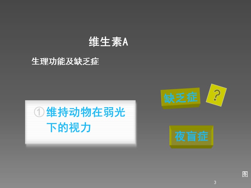 维生素代谢疾病及防治ppt课件_第3页