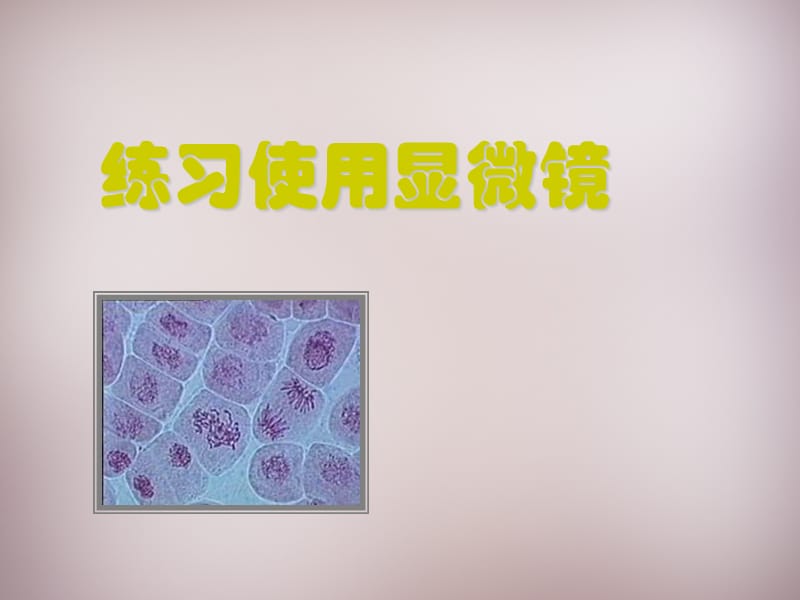 人教初中生物七上《第2单元 第1章 第1节 练习使用显微镜》PPT课件 (9)_第1页