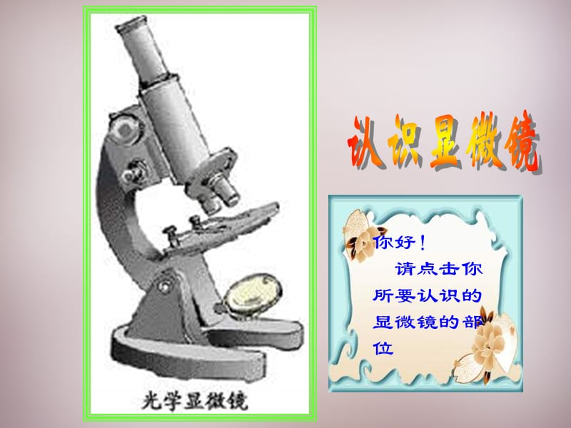 人教初中生物七上《第2单元 第1章 第1节 练习使用显微镜》PPT课件 (9)_第3页