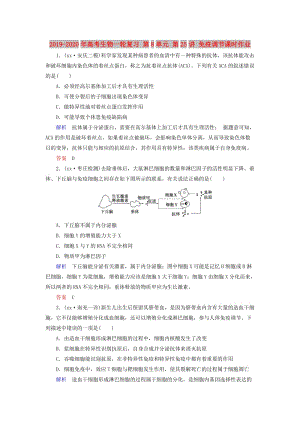 2019-2020年高考生物一輪復(fù)習(xí) 第8單元 第25講 免疫調(diào)節(jié)課時(shí)作業(yè).doc