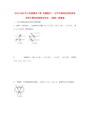 2019-2020年七年級數(shù)學下冊 專題提升一 與平行線判定和性質(zhì)有關的計算和說理校本作業(yè) （新版）浙教版.doc