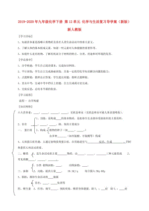 2019-2020年九年級化學(xué)下冊 第12單元 化學(xué)與生活復(fù)習(xí)導(dǎo)學(xué)案（新版）新人教版.doc