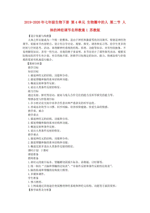 2019-2020年七年級生物下冊 第4單元 生物圈中的人 第二節(jié) 人體的神經(jīng)調(diào)節(jié)名師教案1 蘇教版.doc