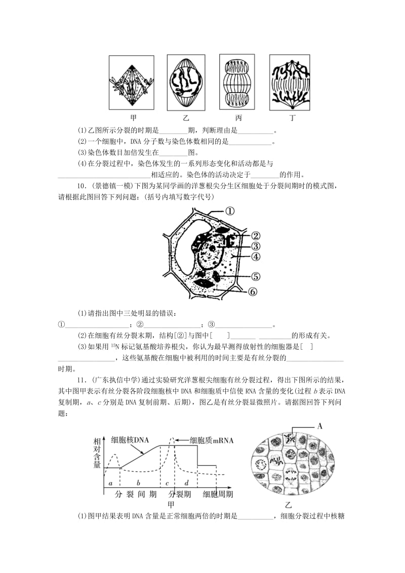 2019年高考生物 拉分题型与提分秘籍训练 第13讲 细胞的增殖.doc_第3页