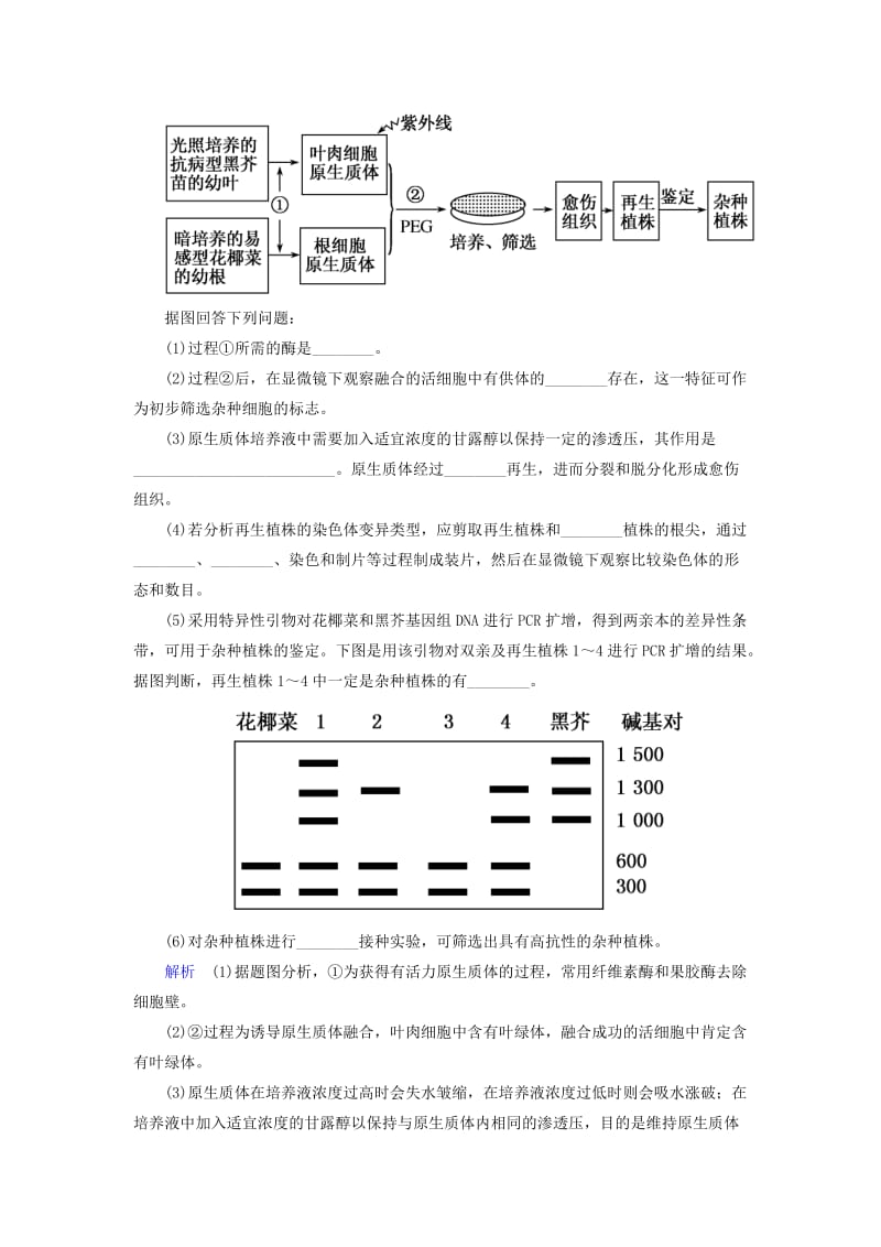 2019-2020年高考生物总复习 专题2 细胞工程双基考题 新人教版选修3.doc_第2页