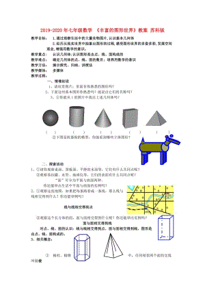 2019-2020年七年級數(shù)學(xué) 《豐富的圖形世界》教案 蘇科版.doc