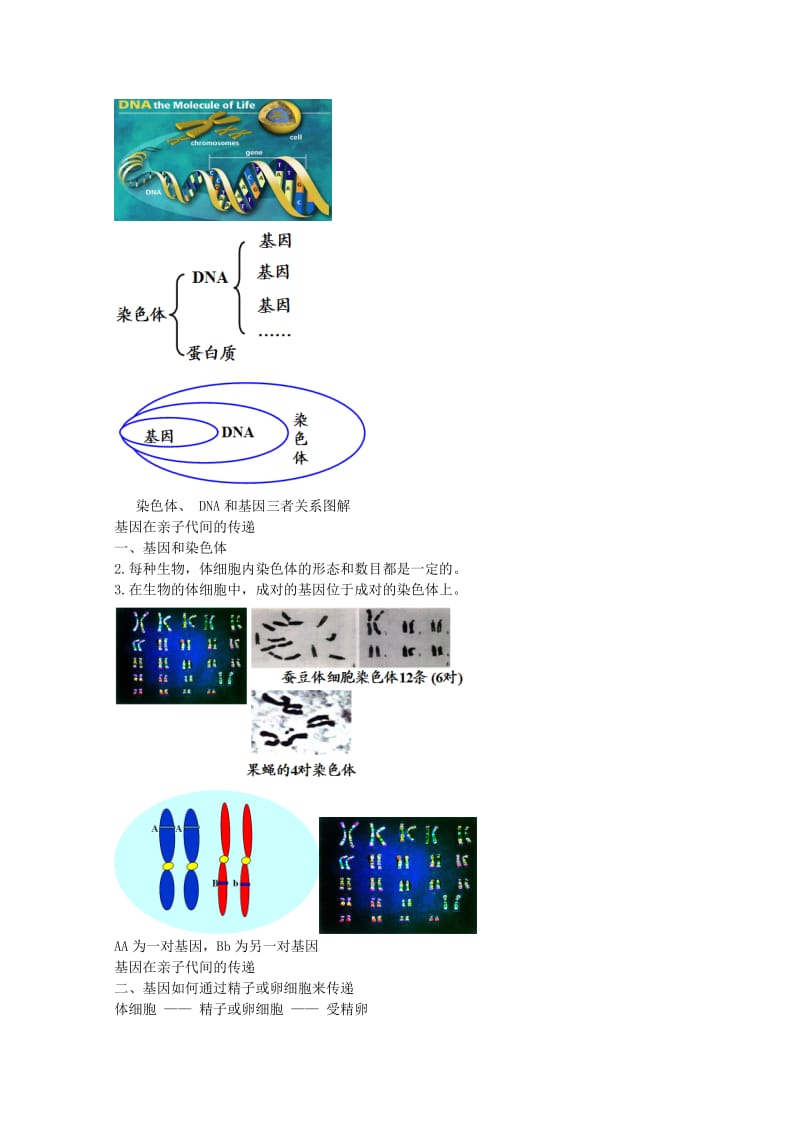 2019-2020年中考生物专题复习 十九 生物的生殖与发育（上）讲义 新人教版.doc_第3页