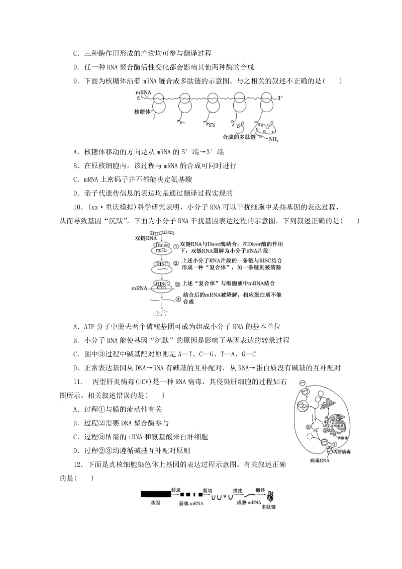 2019-2020年高考生物一轮复习 第二单元 课时跟踪检测（二十）基因的表达 新人教版必修2.doc_第3页