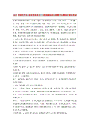 2019年高考政治 題型專題練十一 措施建議類主觀題（含解析）新人教版.doc