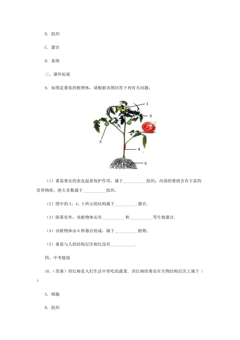 2019-2020年七年级生物上册 1.2.3多细胞生物体的结构层次同步练习 （新版）济南版.doc_第3页