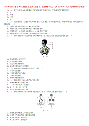 2019-2020年中考生物復習方案 主題五 生物圈中的人 第12課時 人體的呼吸作業(yè)手冊.doc