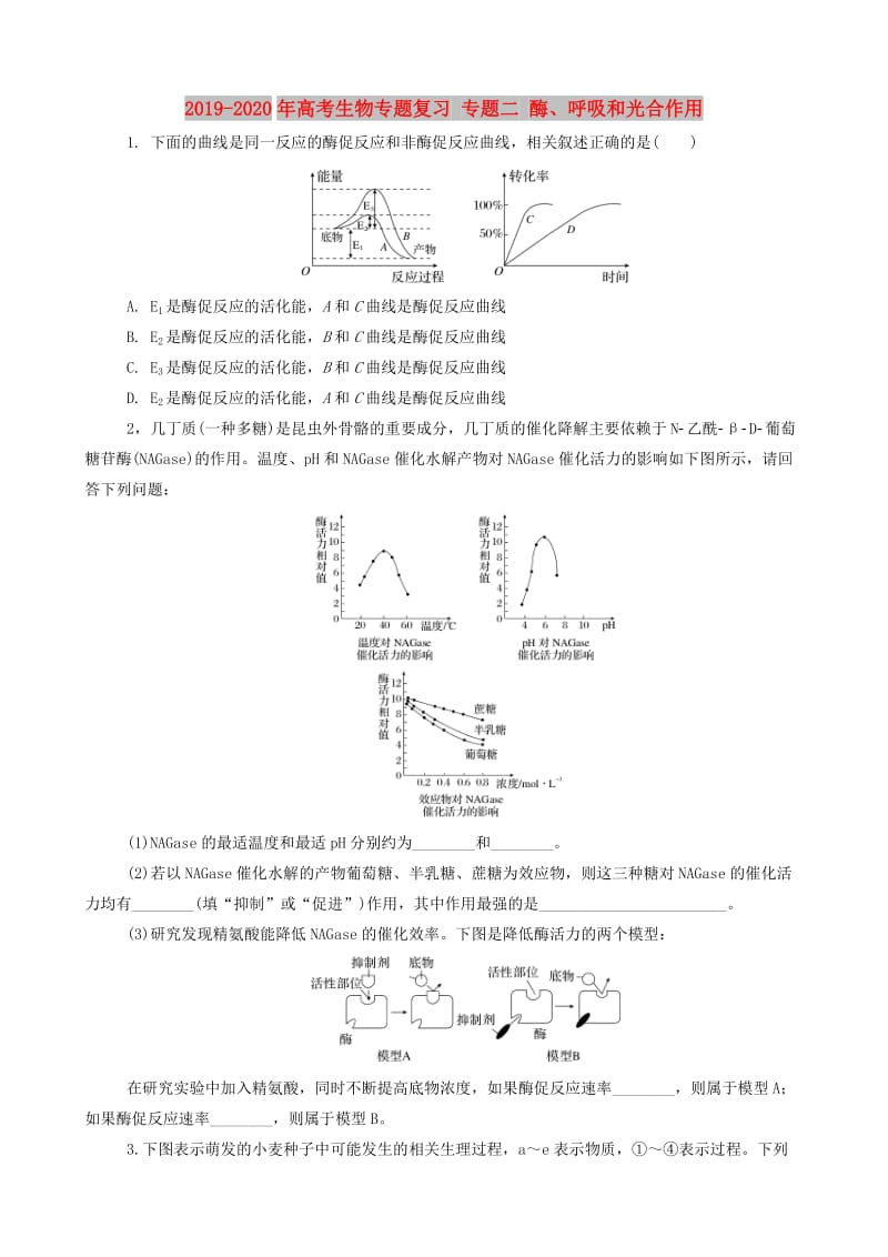 2019-2020年高考生物专题复习 专题二 酶、呼吸和光合作用.doc_第1页