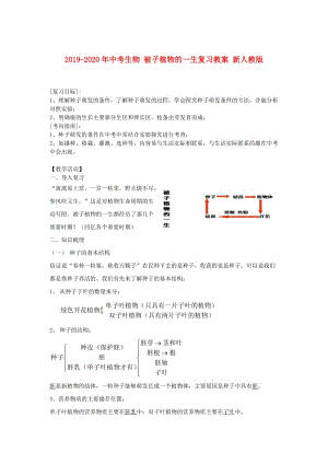 2019-2020年中考生物 被子植物的一生復(fù)習(xí)教案 新人教版.doc