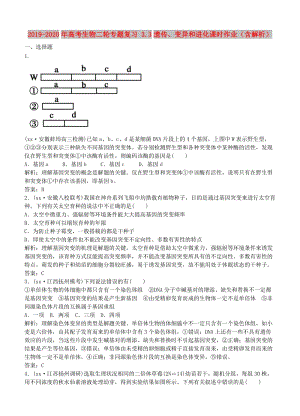 2019-2020年高考生物二輪專題復(fù)習(xí) 3.3遺傳、變異和進化課時作業(yè)（含解析）.doc