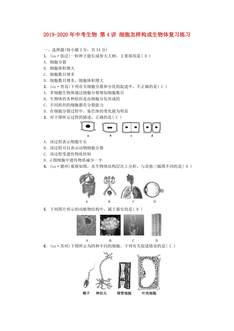 2019-2020年中考生物 第4讲 细胞怎样构成生物体复习练习.doc_第1页