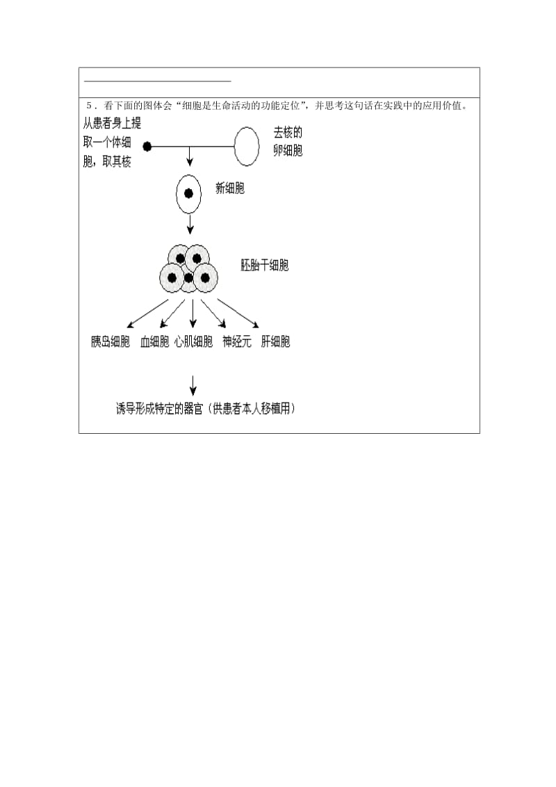 2019-2020年七年级生物 细胞是生命活动的基本单位教案.doc_第3页