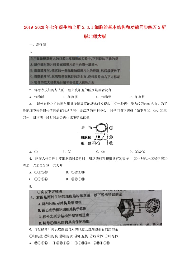 2019-2020年七年级生物上册2.3.1细胞的基本结构和功能同步练习2新版北师大版.doc_第1页